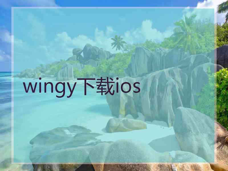 wingy下载ios