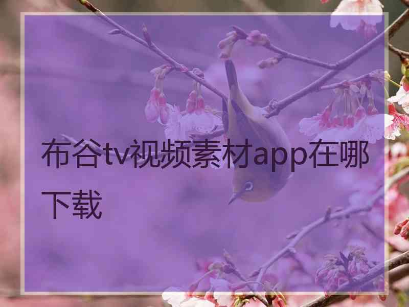 布谷tv视频素材app在哪下载