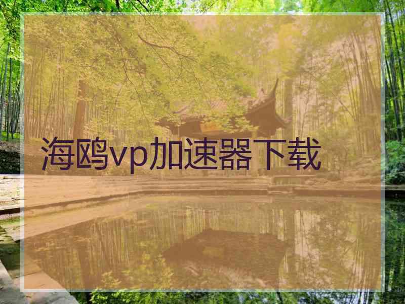 海鸥vp加速器下载