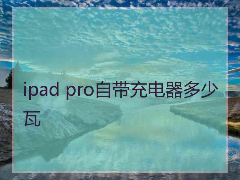 ipad pro自带充电器多少瓦