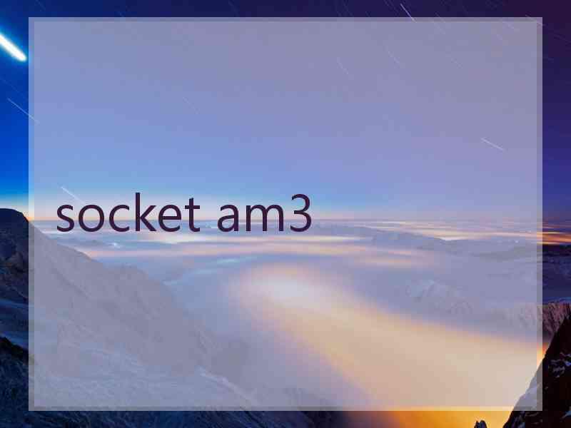 socket am3