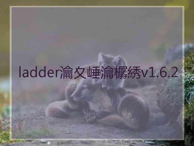 ladder瀹夊崜瀹樼綉v1.6.2