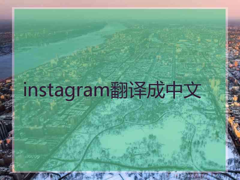 instagram翻译成中文