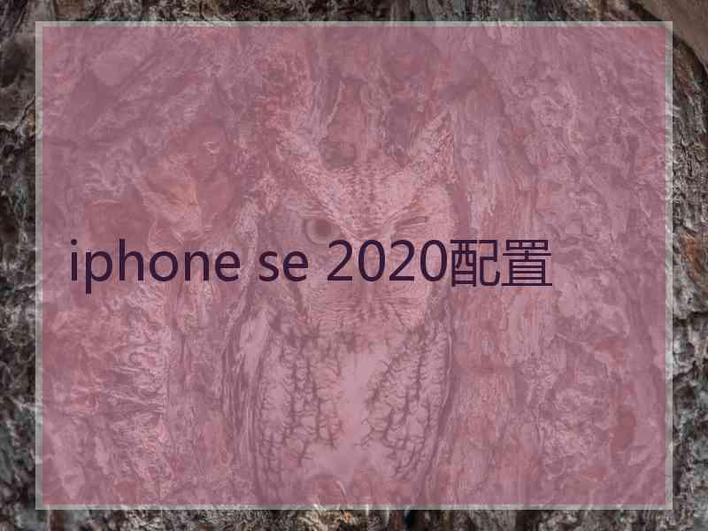 iphone se 2020配置