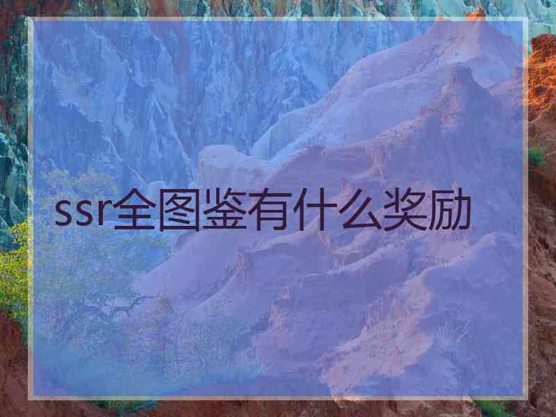 ssr全图鉴有什么奖励