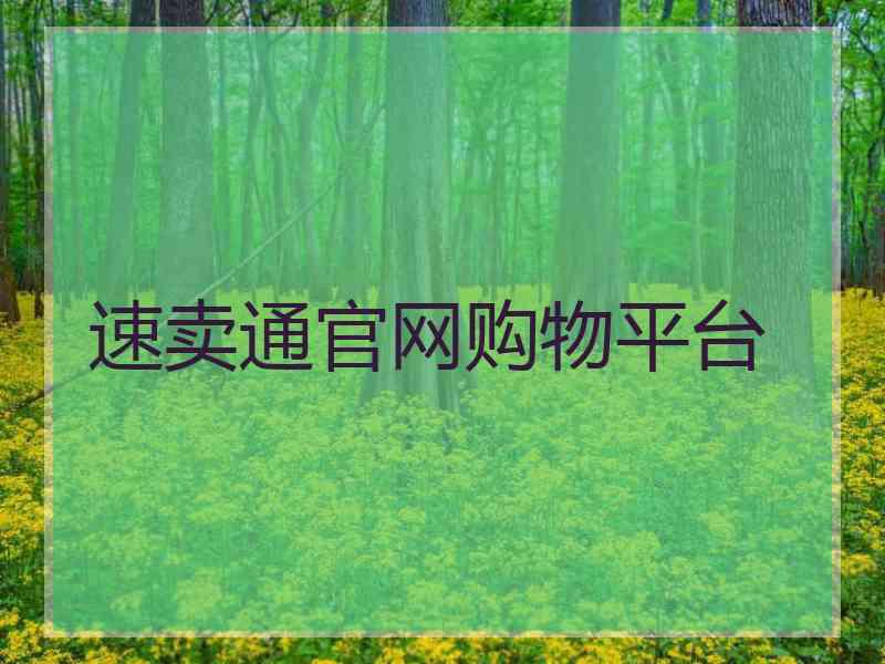 速卖通官网购物平台