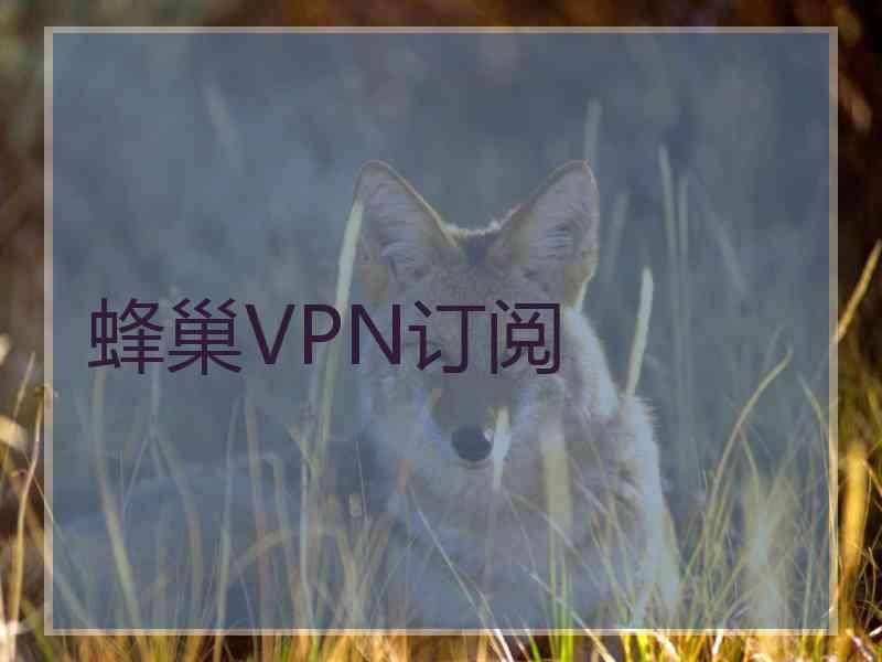 蜂巢VPN订阅