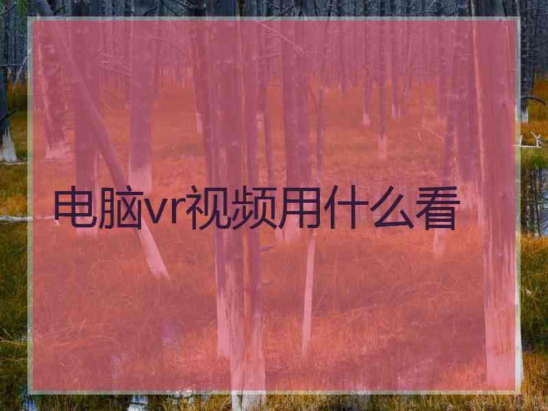 电脑vr视频用什么看