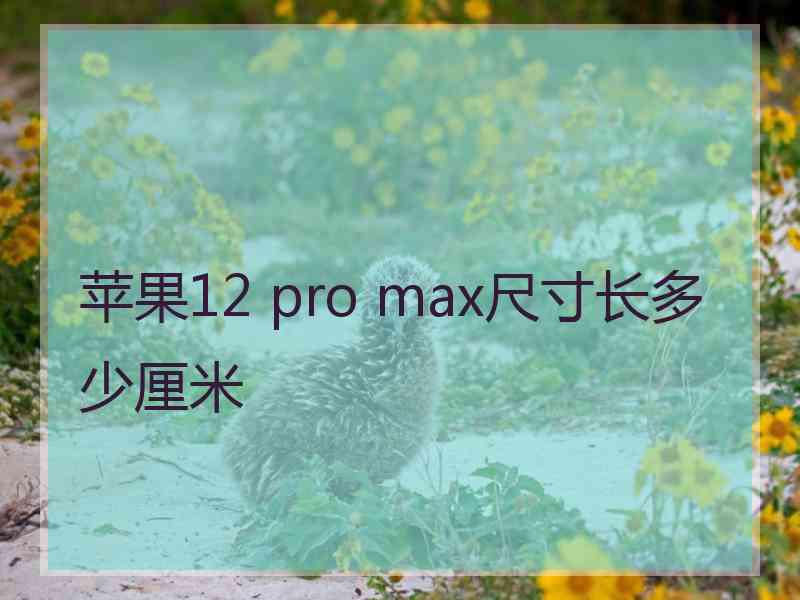 苹果12 pro max尺寸长多少厘米