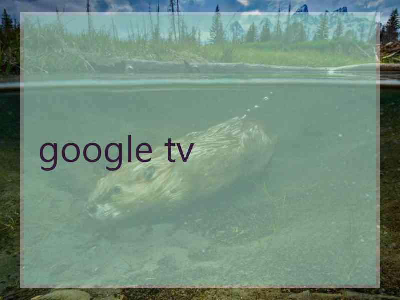 google tv