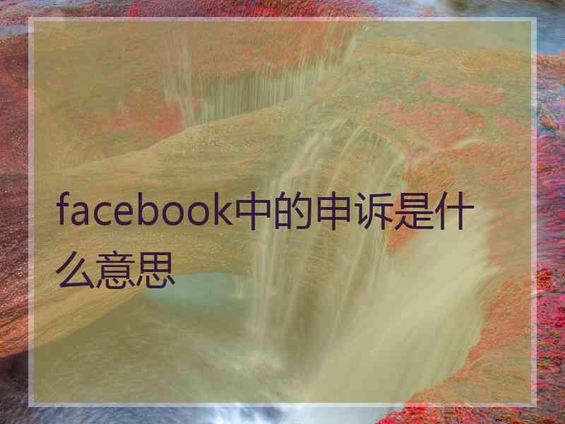 facebook中的申诉是什么意思