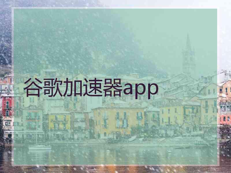 谷歌加速器app