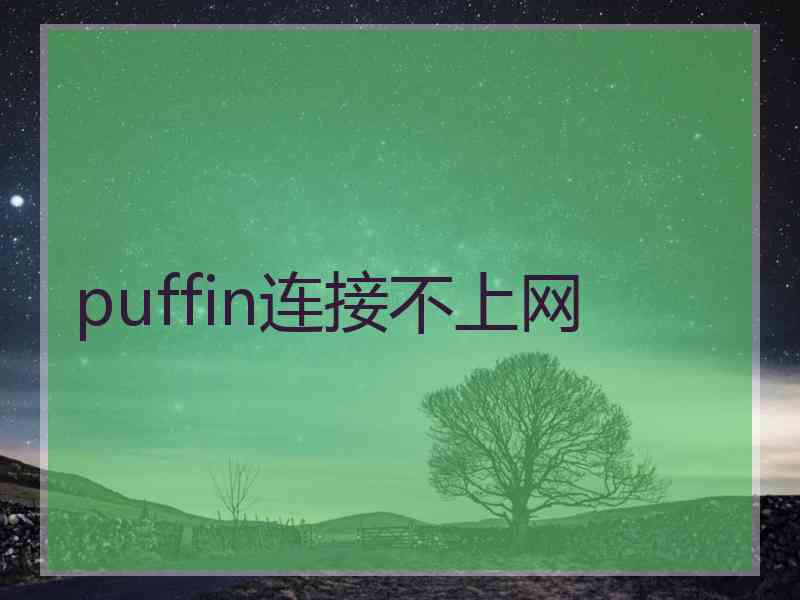 puffin连接不上网