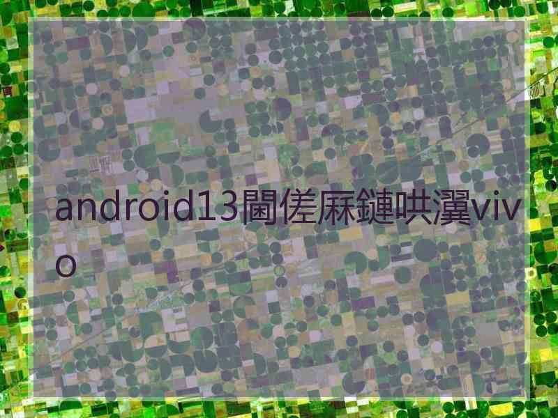 android13閫傞厤鏈哄瀷vivo