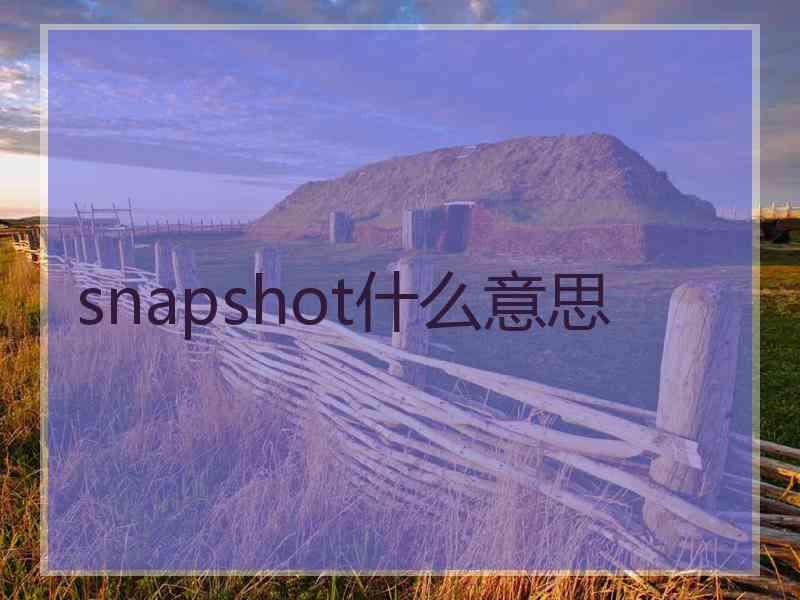 snapshot什么意思