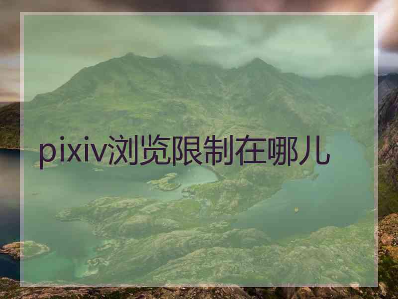 pixiv浏览限制在哪儿