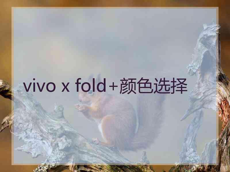 vivo x fold+颜色选择