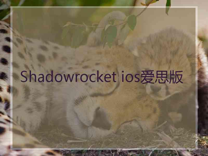 Shadowrocket ios爱思版