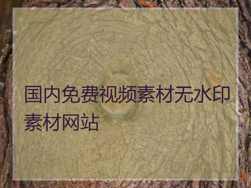 国内免费视频素材无水印素材网站