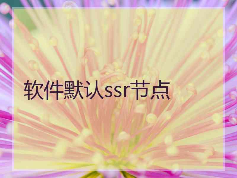 软件默认ssr节点