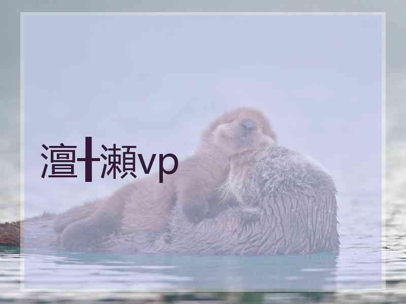 澶╂瀬vp