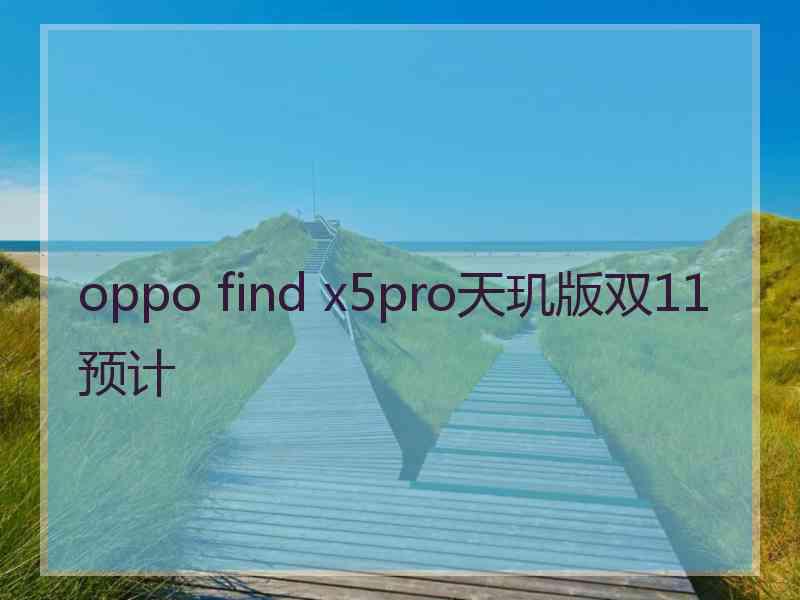 oppo find x5pro天玑版双11预计