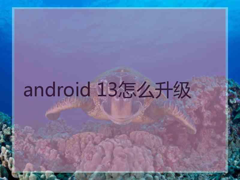 android 13怎么升级