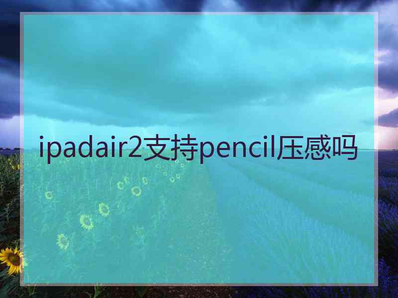 ipadair2支持pencil压感吗