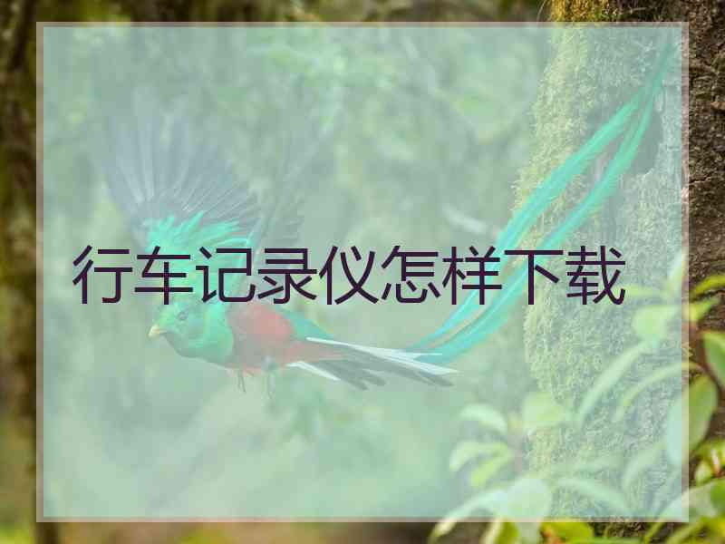 行车记录仪怎样下载