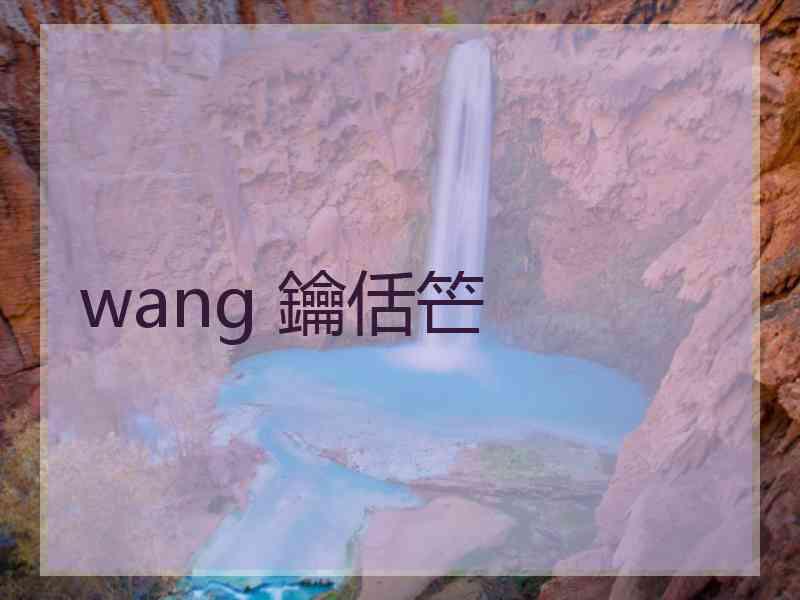 wang 鑰佸笀