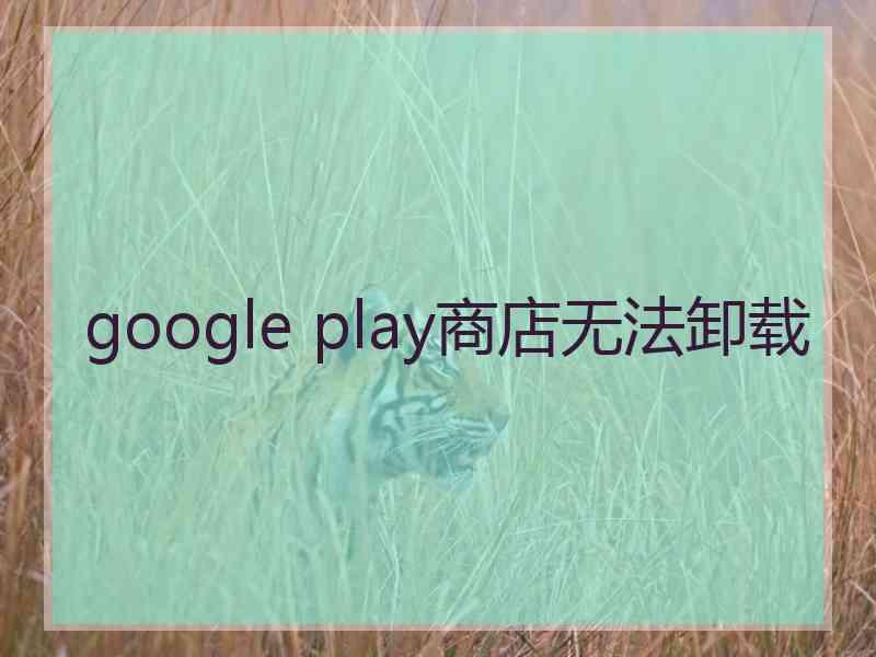 google play商店无法卸载