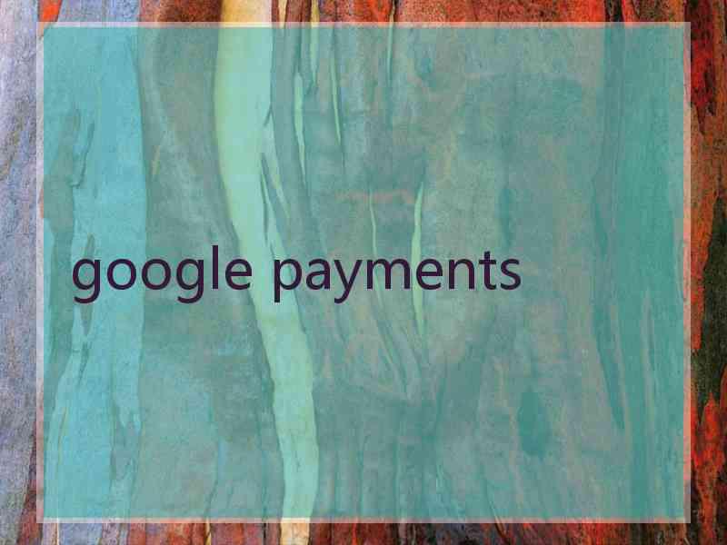 google payments