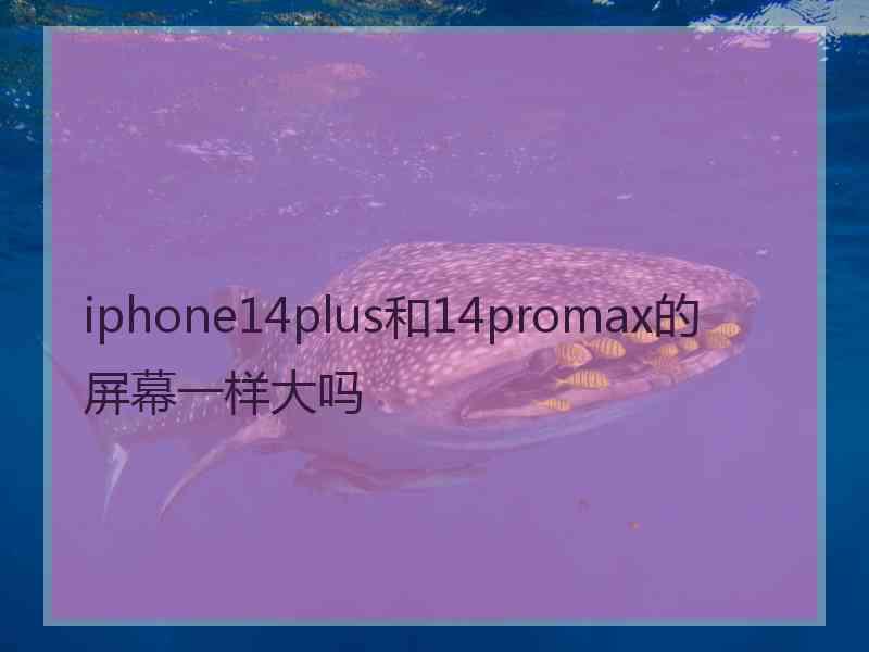 iphone14plus和14promax的屏幕一样大吗