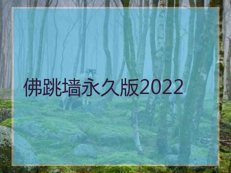 佛跳墙永久版2022