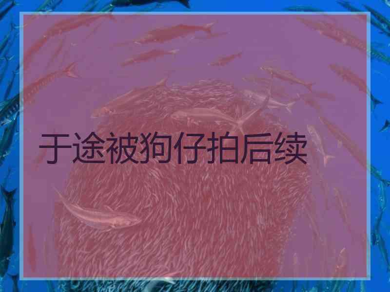 于途被狗仔拍后续