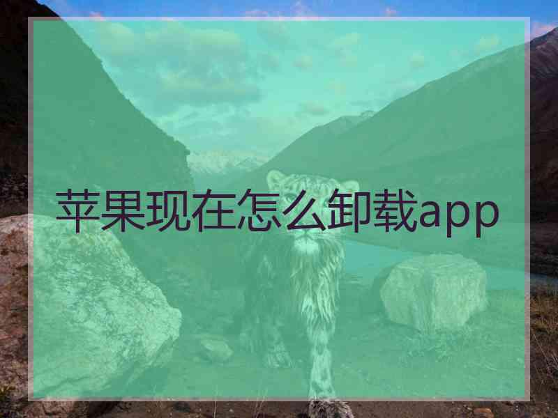 苹果现在怎么卸载app