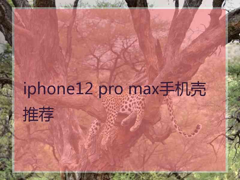 iphone12 pro max手机壳推荐