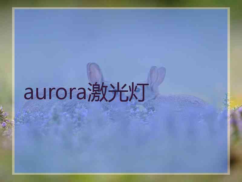 aurora激光灯