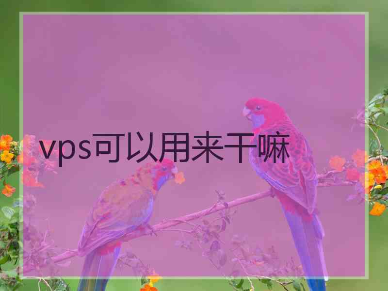 vps可以用来干嘛