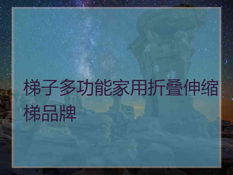 梯子多功能家用折叠伸缩梯品牌