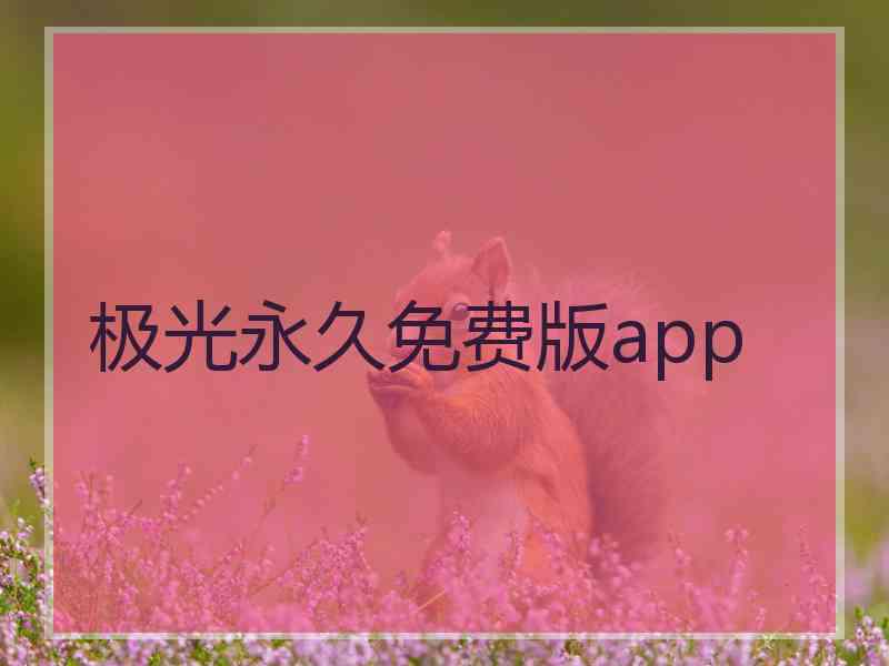 极光永久免费版app