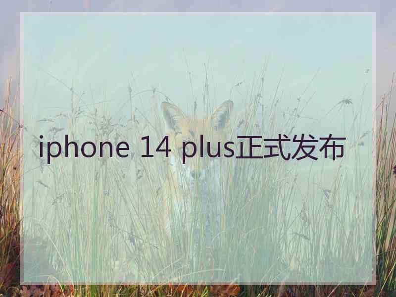 iphone 14 plus正式发布