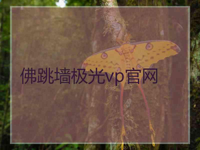 佛跳墙极光vp官网