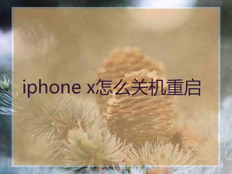 iphone x怎么关机重启