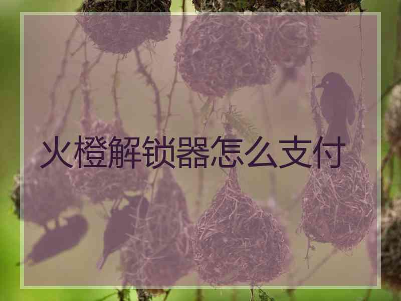 火橙解锁器怎么支付