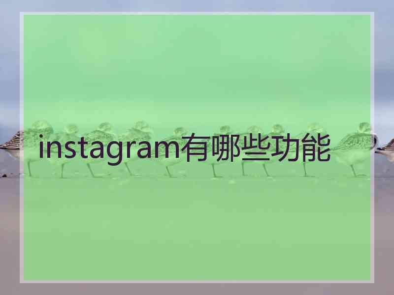 instagram有哪些功能