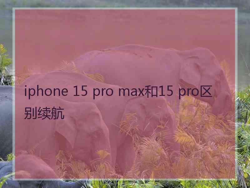 iphone 15 pro max和15 pro区别续航