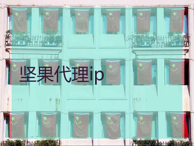 坚果代理ip