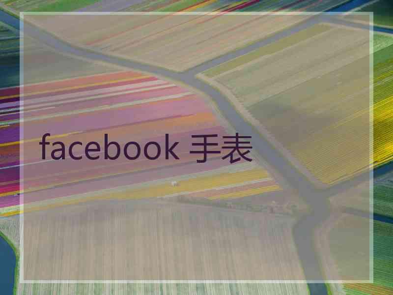 facebook 手表