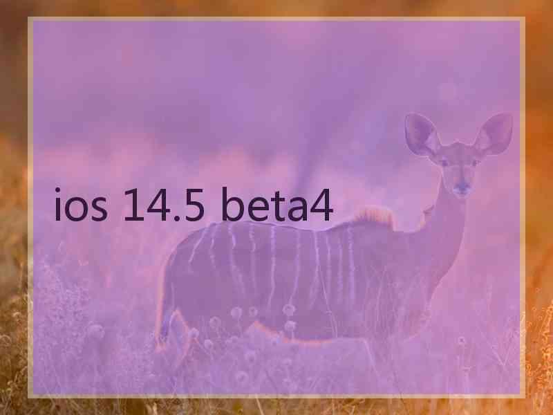 ios 14.5 beta4